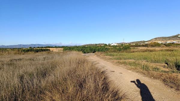 Terreno en moli nou, 428