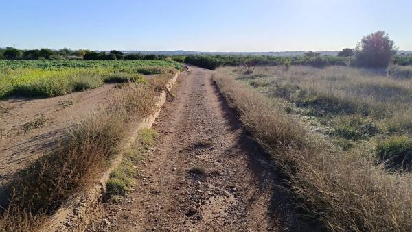 Terreno en moli nou, 428