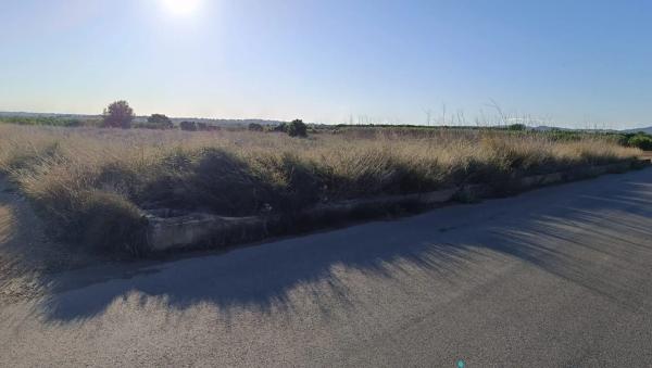 Terreno en moli nou, 428