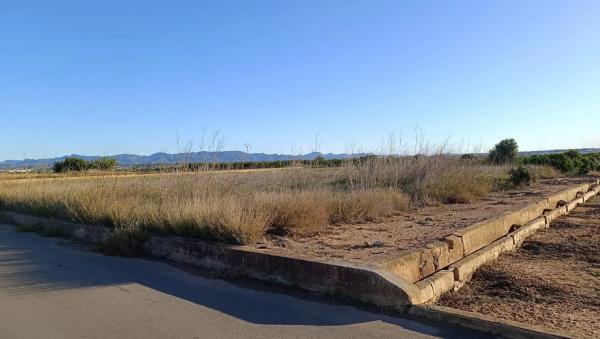 Terreno en moli nou, 428