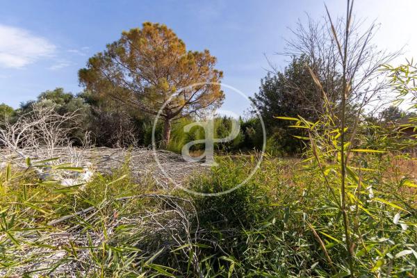 Terreno en calle San Ramón
