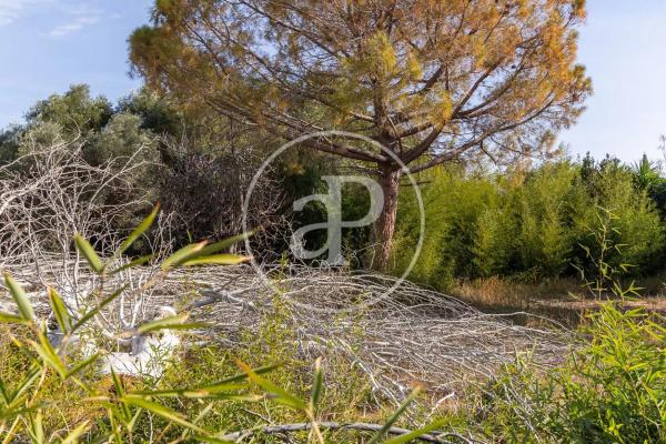 Terreno en calle San Ramón