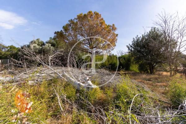 Terreno en calle San Ramón