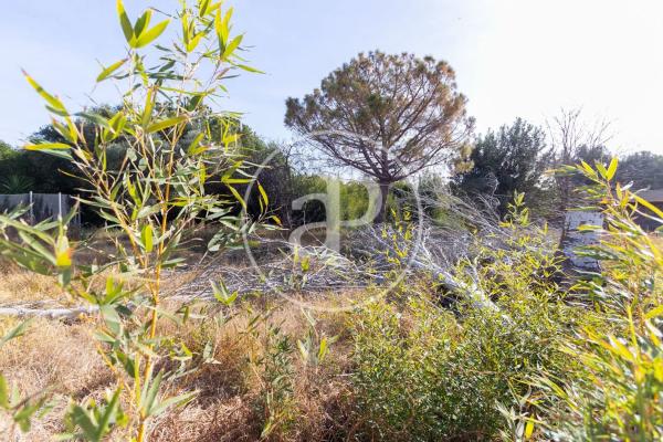 Terreno en calle San Ramón