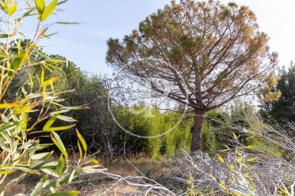 Terreno en calle San Ramón