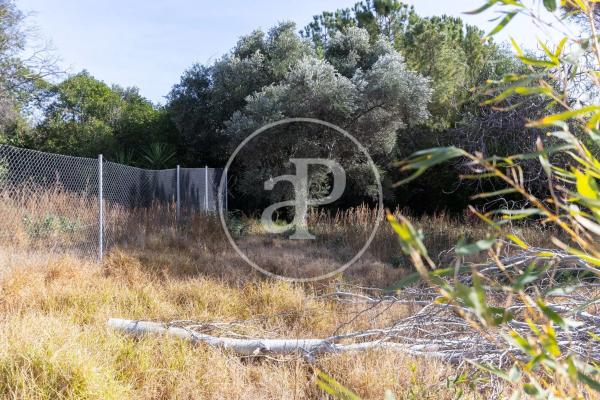 Terreno en calle San Ramón