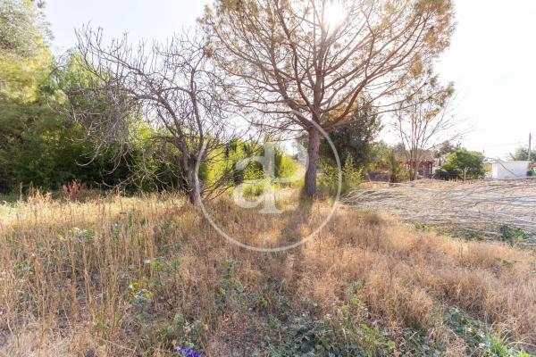 Terreno en calle San Ramón