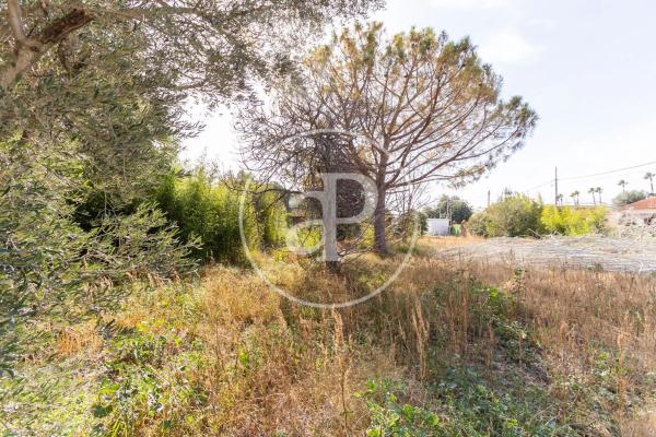 Terreno en calle San Ramón