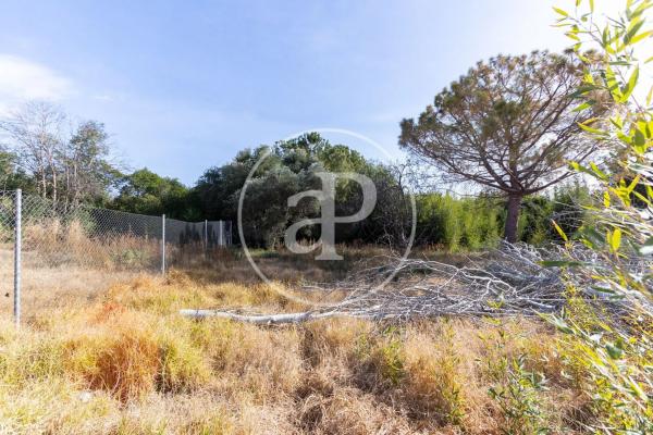 Terreno en calle San Ramón