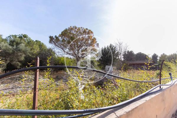 Terreno en calle San Ramón