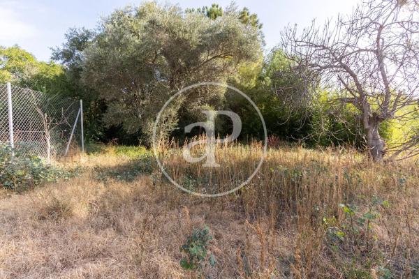 Terreno en calle San Ramón