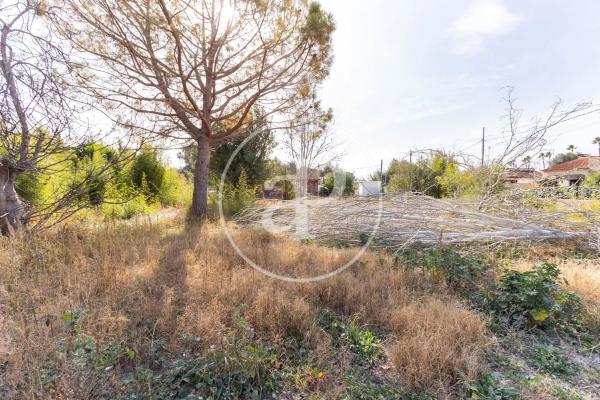 Terreno en calle San Ramón
