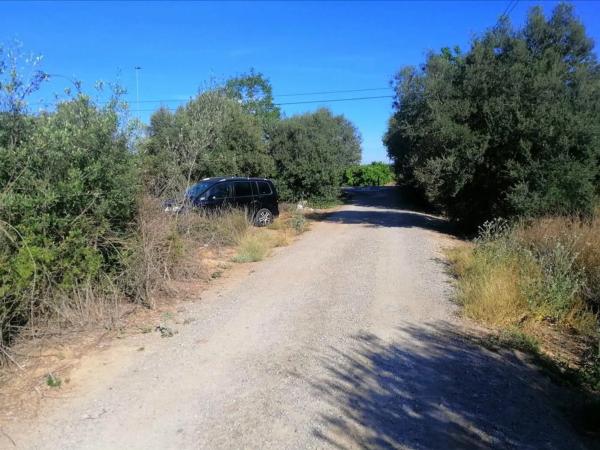 Terreno en calle Alboratge