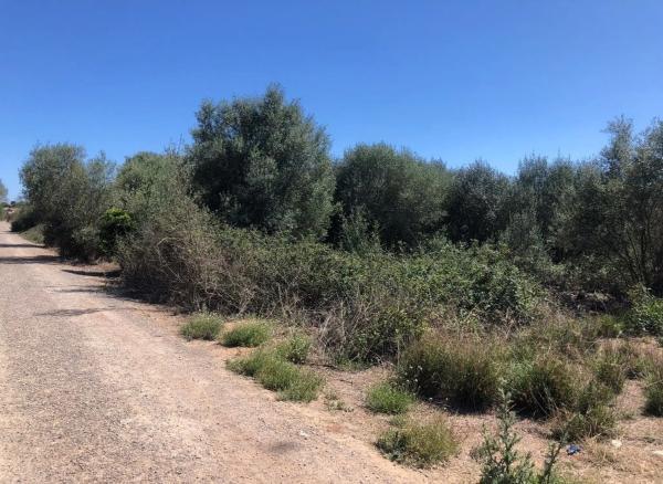 Terreno en calle Alboratge