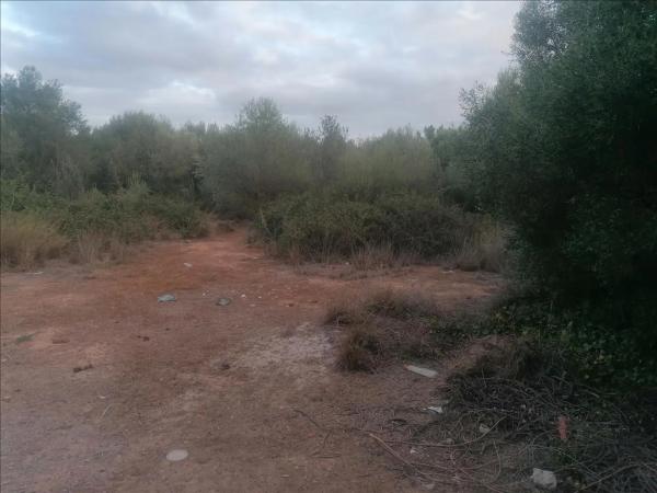 Terreno en calle Alboratge