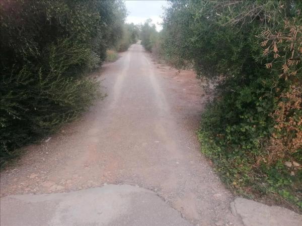 Terreno en calle Alboratge