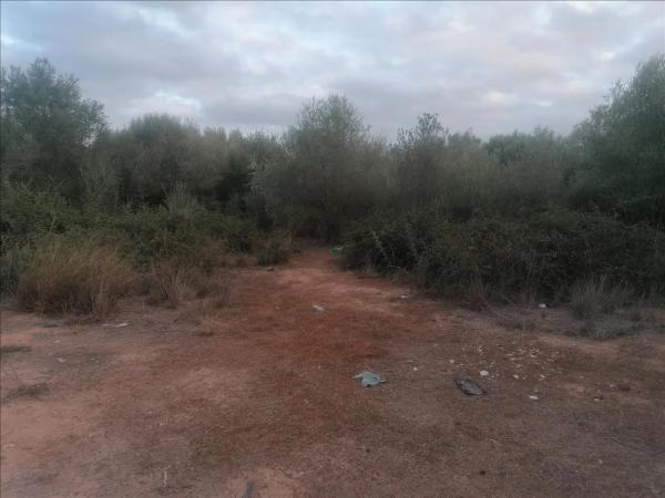 Terreno en calle Alboratge