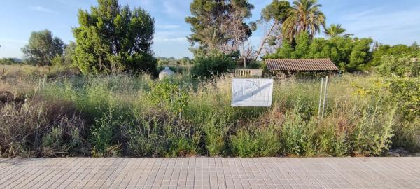 Terreno en calle Siempreviva