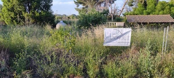Terreno en calle Siempreviva