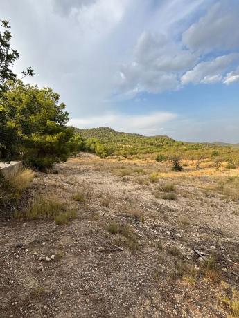 Terreno en Diseminado P002, 212