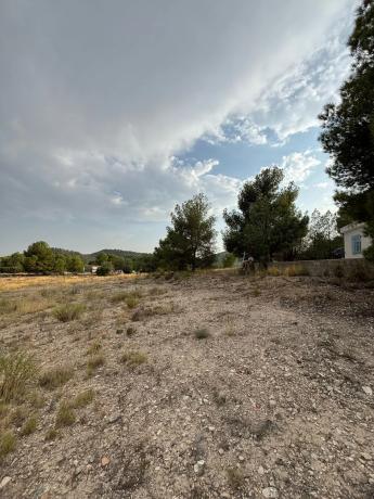 Terreno en Diseminado P002, 212