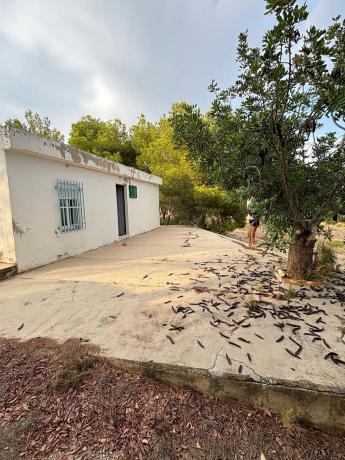 Terreno en Diseminado P002, 212