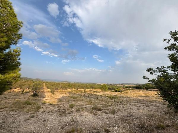 Terreno en Diseminado P002, 212