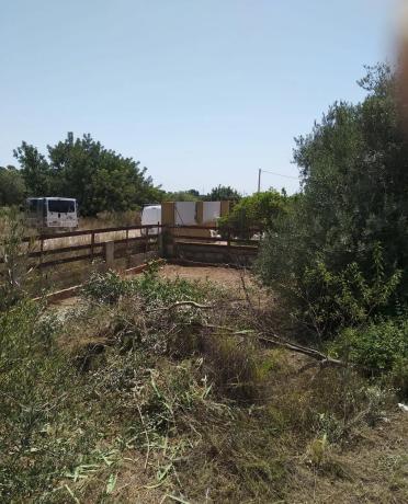 Terreno en calle Número 8 Regalón, 28