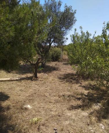 Terreno en calle Número 8 Regalón, 28