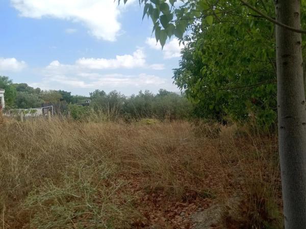 Terreno en Diseminado P034