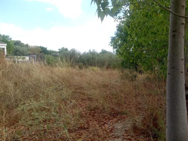 Terreno en Diseminado P034