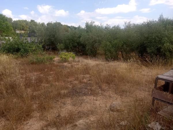 Terreno en Diseminado P034