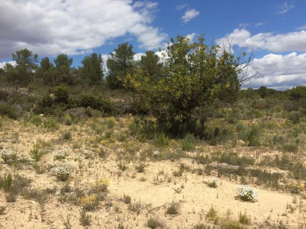 Terreno en Diseminado P045, km 3 a