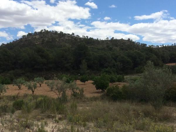 Terreno en Diseminado P045, km 3 a