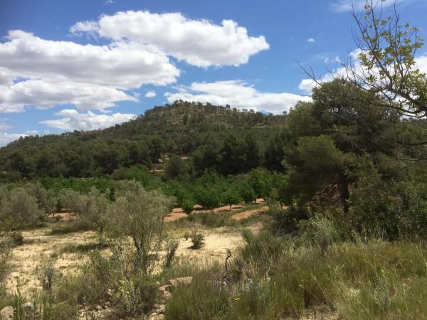 Terreno en Diseminado P045, km 3 a