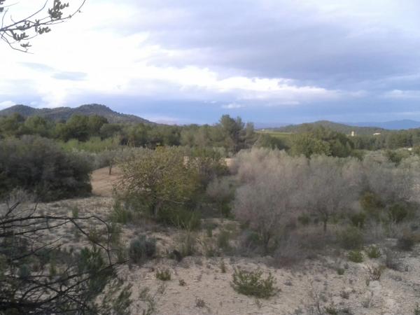 Terreno en Diseminado P045, km 3 a