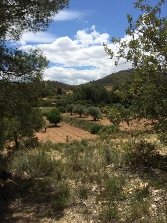 Terreno en Diseminado P045, km 3 a