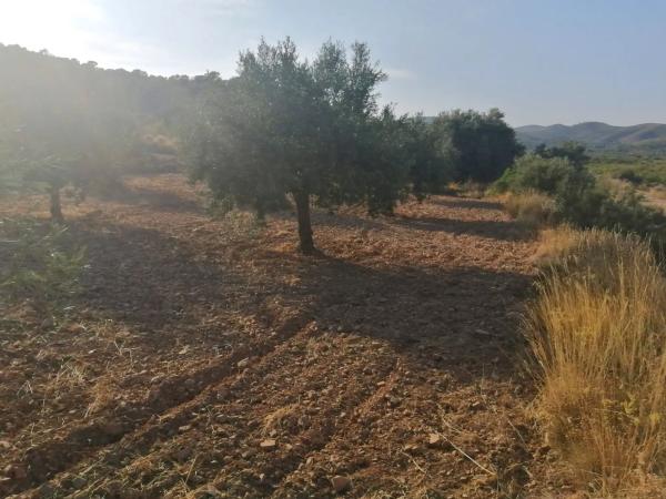 Terreno en Poligono 60, parcela 129 s/n carreteralliriaalcublas