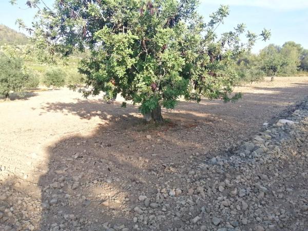 Terreno en Poligono 60, parcela 129 s/n carreteralliriaalcublas