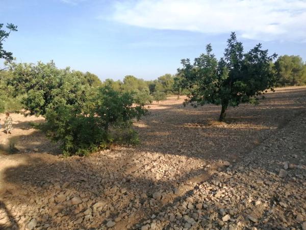 Terreno en Poligono 60, parcela 129 s/n carreteralliriaalcublas