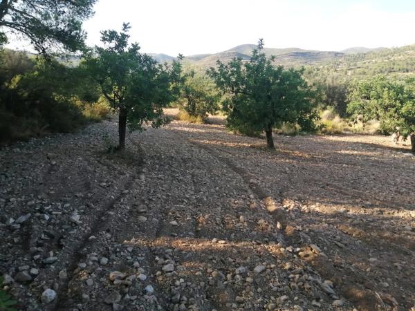 Terreno en Poligono 60, parcela 129 s/n carreteralliriaalcublas