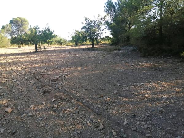 Terreno en Poligono 60, parcela 129 s/n carreteralliriaalcublas