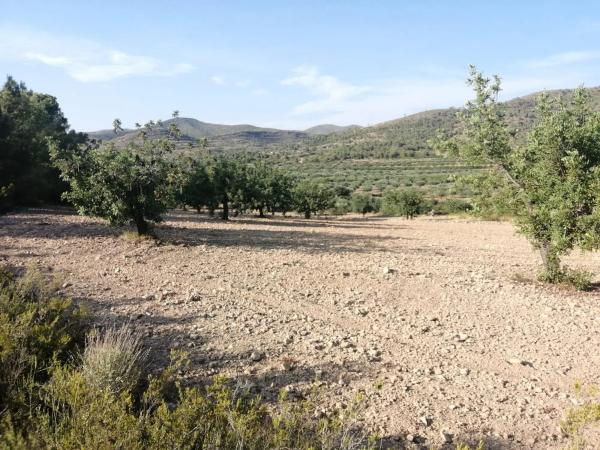 Terreno en Poligono 60, parcela 129 s/n carreteralliriaalcublas