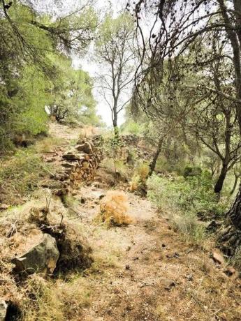 Terreno en calle Canteres, 18