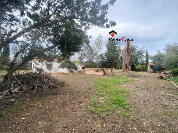 Terreno en camino del Pla