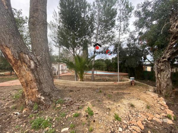 Terreno en camino del Pla