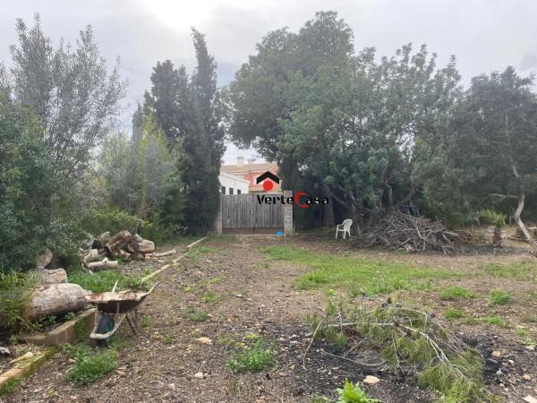 Terreno en camino del Pla