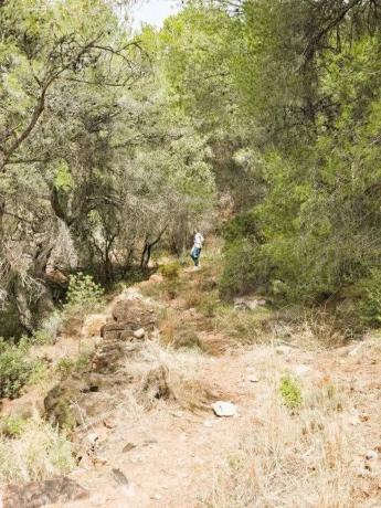 Terreno en calle Canteres, 18