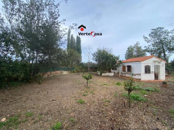 Terreno en camino del Pla