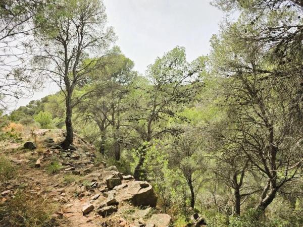 Terreno en calle Canteres, 18